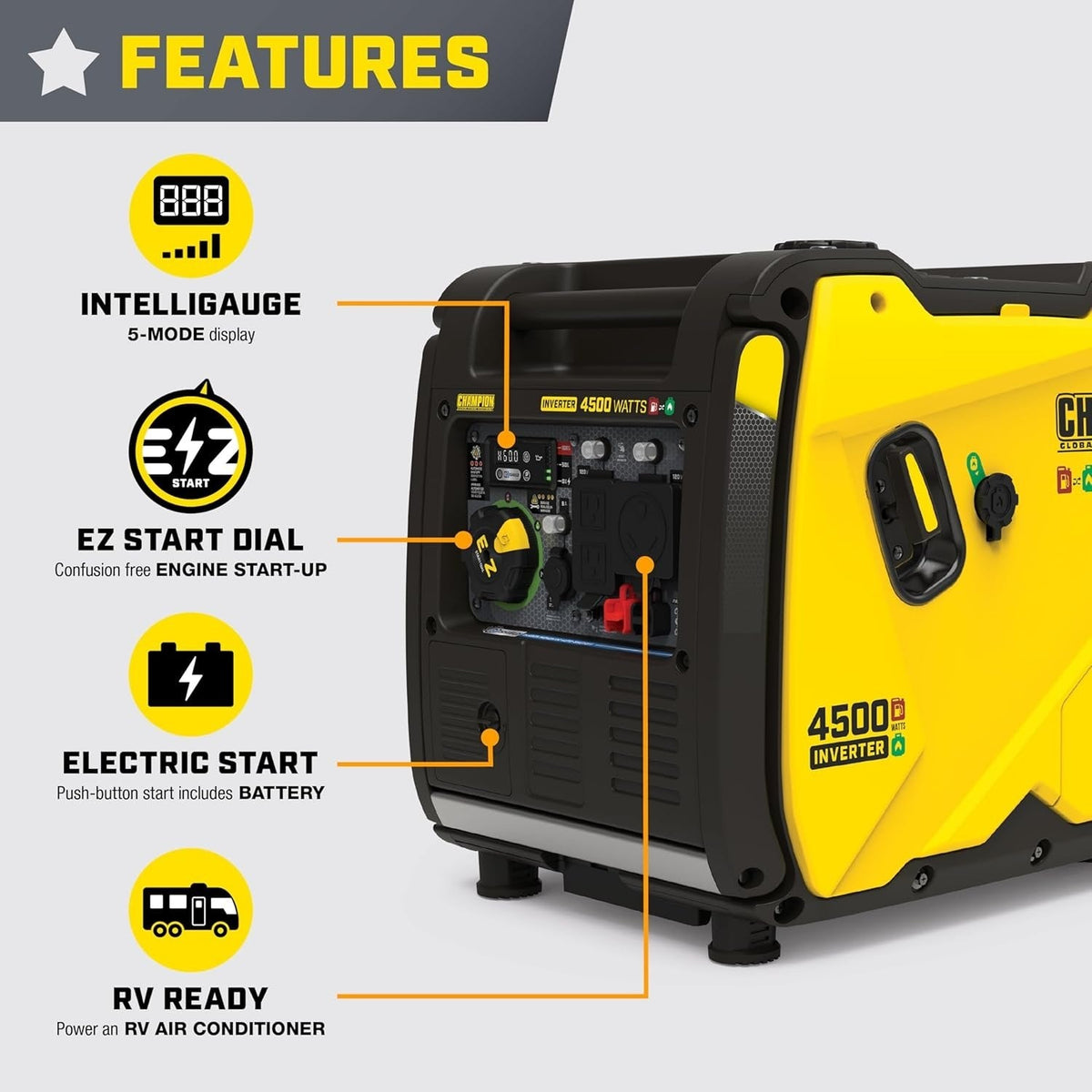 Champion 4,500-Watt Portable Dual Fuel Inverter Generator 200991